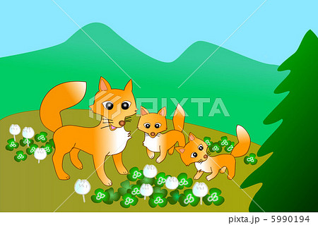 子狐　本土ギツネ　　 5990194