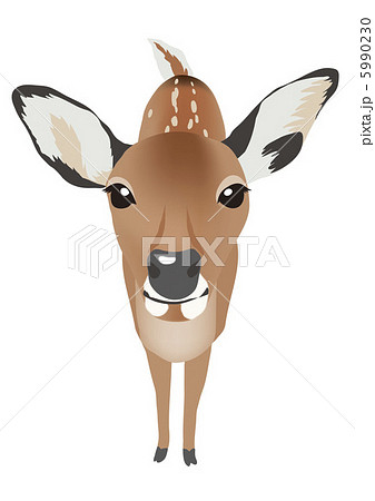 鹿のイラスト素材 5990230 Pixta