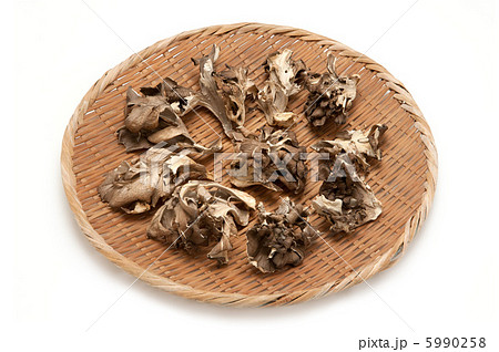 乾舞茸 乾舞茸 5990258