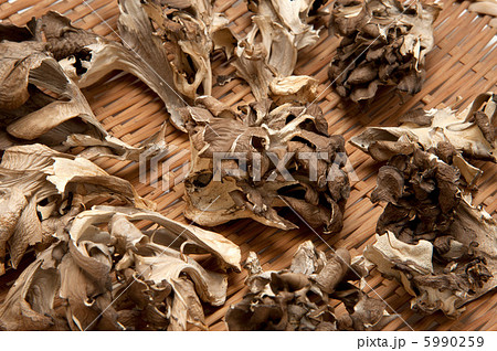 乾燥した乾舞茸 5990259