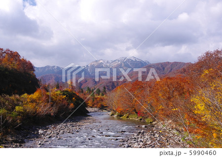 紅葉の銀山平からの越後駒ヶ岳 5990460