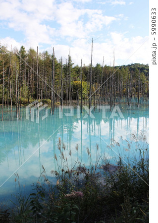 秋の白金青い池 5990633