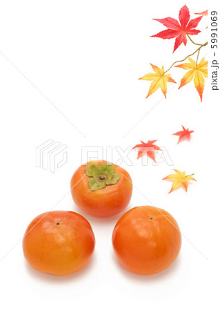 柿とモミジ 柿とモミジ 5991069