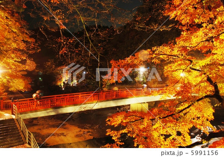 香嵐渓の紅葉ライトアップ 香嵐渓の紅葉ライトアップ 5991156