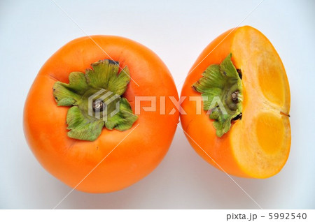 秋の味 秋の味 5992540