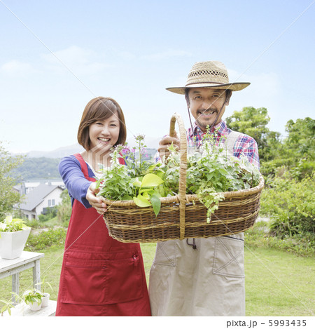 植物の籠を持った中高年夫婦 5993435