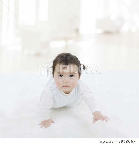 ハイハイする赤ちゃん 5993667