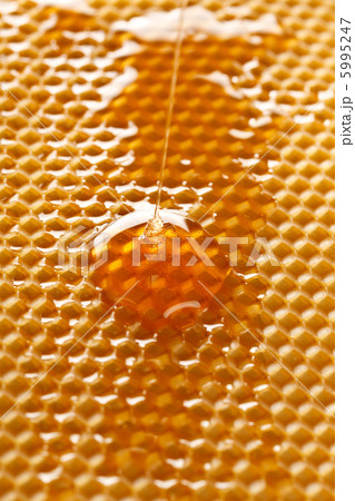 fresh honey in comb fresh honey in comb 5995247