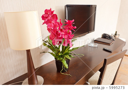 Interior of modern comfortable hotel room Interior of modern comfortable hotel room 5995273
