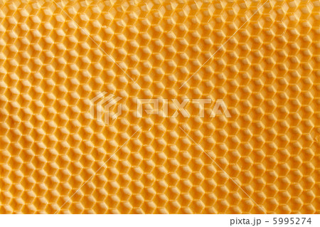 fresh honey in comb fresh honey in comb 5995274