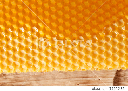 fresh honey in comb fresh honey in comb 5995285