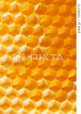 fresh honey in comb fresh honey in comb 5996572