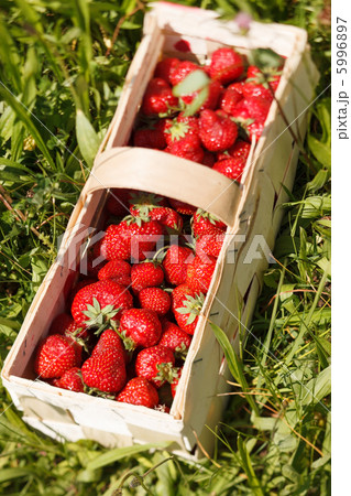 Strawberries in a basket 5996897