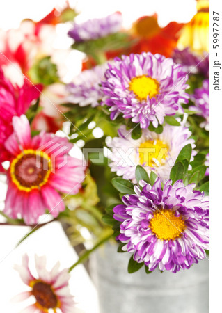 colorful summer flowers colorful summer flowers 5997287