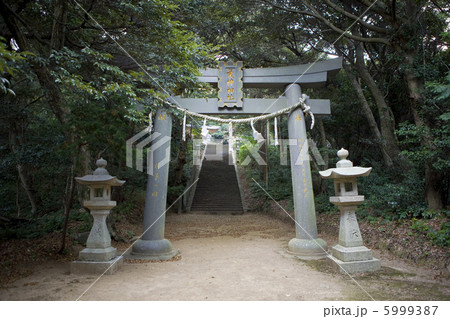海神神社鳥居 5999387