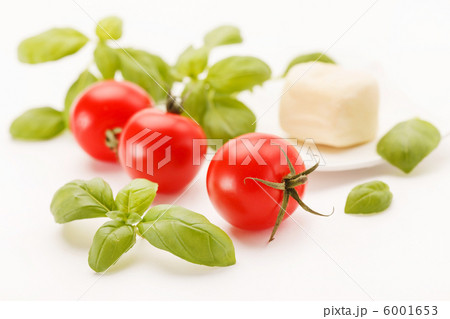 tomatoes and basil 6001653