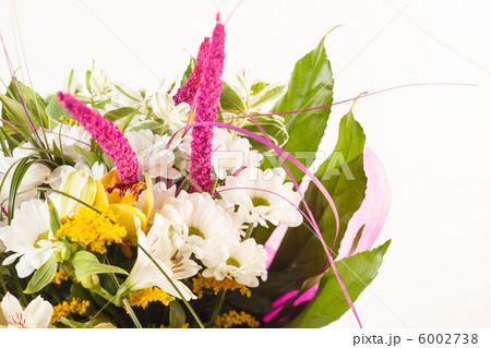nice flowers nice flowers 6002738
