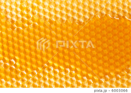 fresh honey in comb 6003066