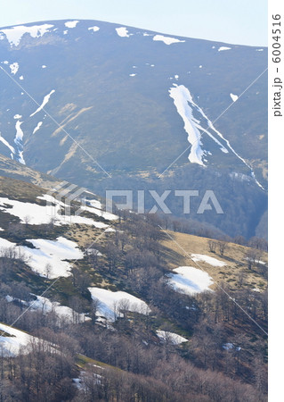 Carpathian Mountains 6004516