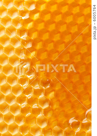 fresh honey in comb fresh honey in comb 6005764