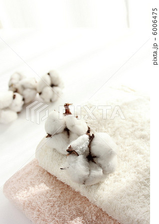 コットンフラワーとタオル 6006475