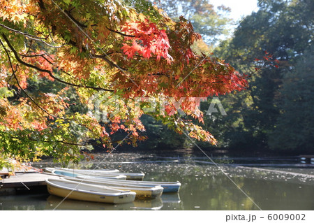 静かな湖 6009002