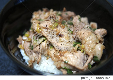 塩だれ豚丼 塩だれ豚丼 6009102