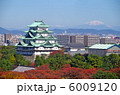 Autumn of Nagoya 6009120