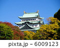 Autumn of Nagoya 6009123