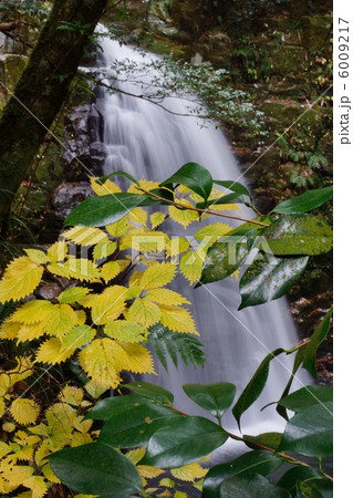 赤目四十八滝 赤目四十八滝 6009217