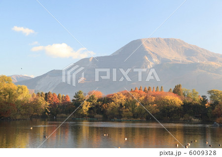 晩秋 6009328