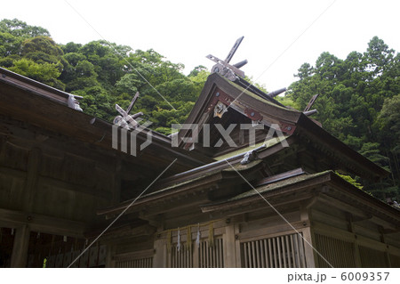 美保神社本殿前方より 美保神社本殿前方より 6009357