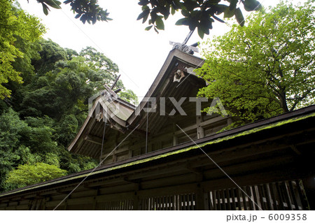 美保神社本殿後方より 6009358