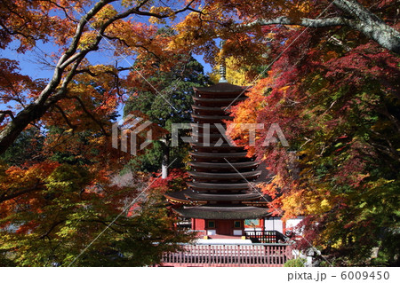 談山神社 紅葉と十三重塔 談山神社 紅葉と十三重塔 6009450