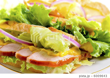 サンドイッチ 6009643