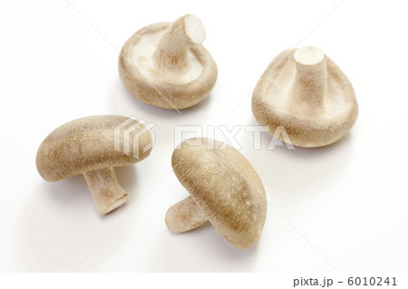 きのこ・シイタケ きのこ・シイタケ 6010241