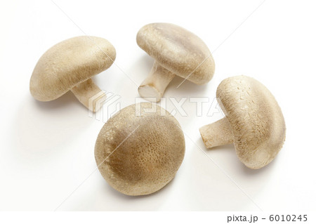 きのこ・シイタケ 6010245