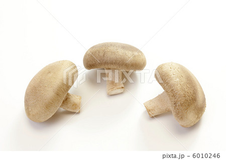 きのこ・シイタケ きのこ・シイタケ 6010246