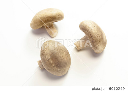 きのこ・シイタケ 6010249