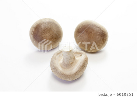 きのこ・シイタケ きのこ・シイタケ 6010251