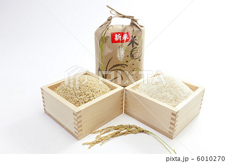 お米・新米 6010270