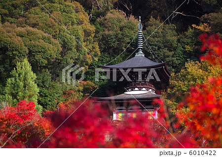 永観堂の多宝塔 6010422