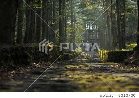 ハッピーバレー ハッピーバレー 6010700