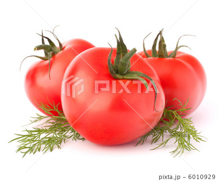 Three tomato vegetables and dill leaves still life 6010929