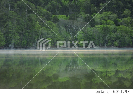 奥日光西ノ湖 6011293