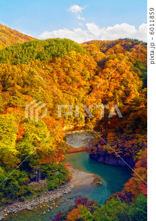 白砂渓谷の紅葉 白砂渓谷の紅葉 6011859