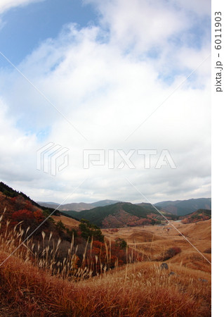 砥峰高原のススキ野原 砥峰高原のススキ野原 6011903