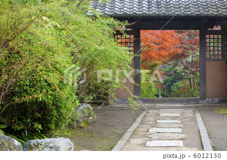 海蔵寺の紅葉 海蔵寺の紅葉 6012130