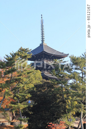 奈良 猿沢の池から見た興福寺の五重塔 奈良 猿沢の池から見た興福寺の五重塔 6012167