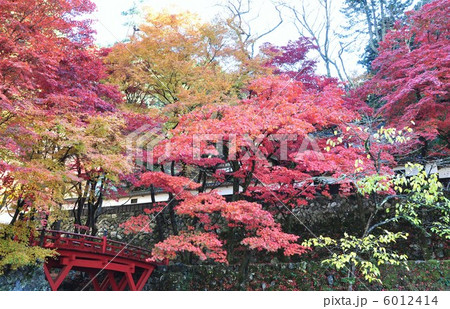 秋の横蔵寺 秋の横蔵寺 6012414